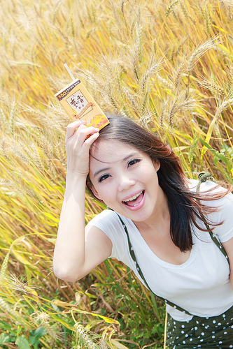 ╠桃園平鎮景點╣季節限定：3-4月 金黃麥田海 免跑台中 北部看的到