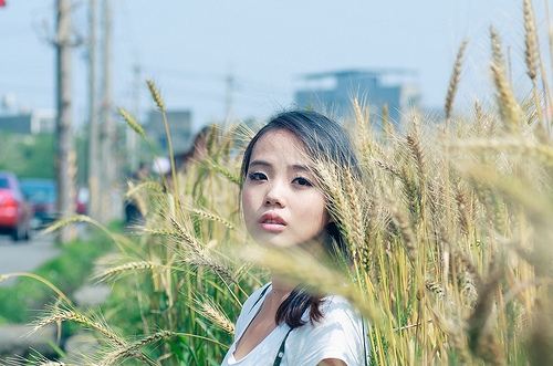 ╠桃園平鎮景點╣季節限定：3-4月 金黃麥田海 免跑台中 北部看的到