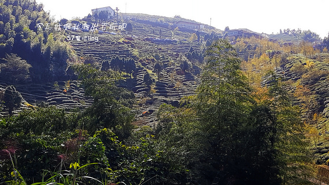 20171029_104231_副本