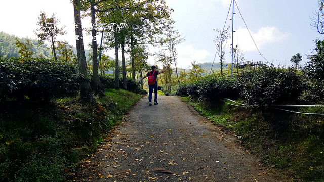 20171029_104024_副本