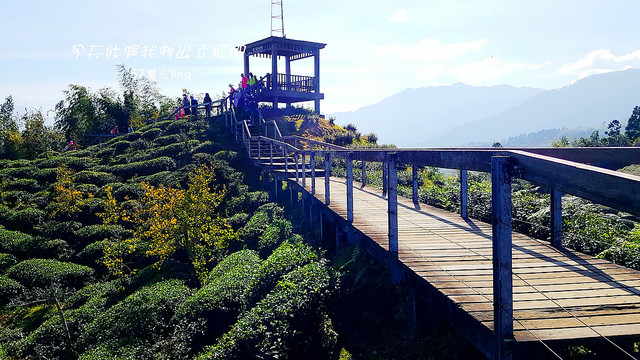 IMG_20171029_102432_副本