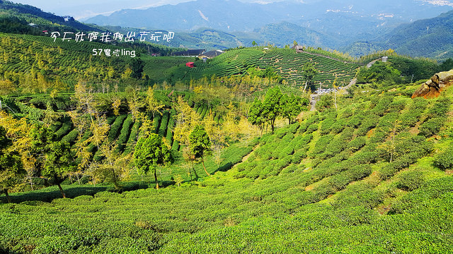 20171029_110137_副本