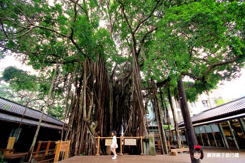 26209217574_177ae2ee8d_o