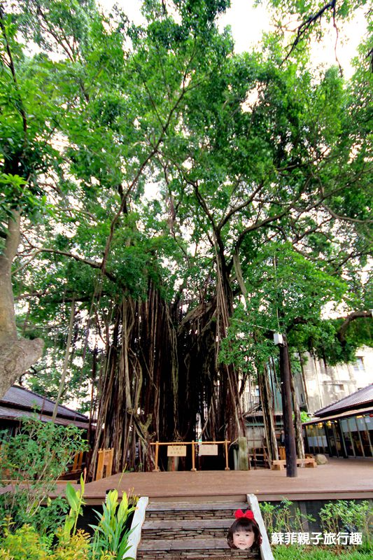 26209216944_9b9876eb38_o