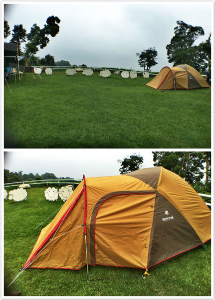 流星花園-12.jpg 流星花園-12.jpg