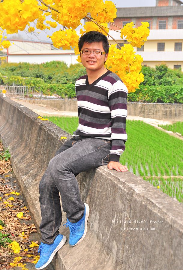 黃金風鈴木 彰化 芬園 寶藏寺 台中南投03