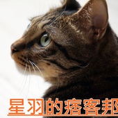 宏國-極品特製豆干：※ 宏國極品特製豆干 ※【星羽是吃貨-台中/宅配】手工新鮮製作，無人工添加及防腐劑素食豆干，單吃涮嘴做料理也好美味~