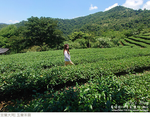 玉蘭茶園-16.jpg