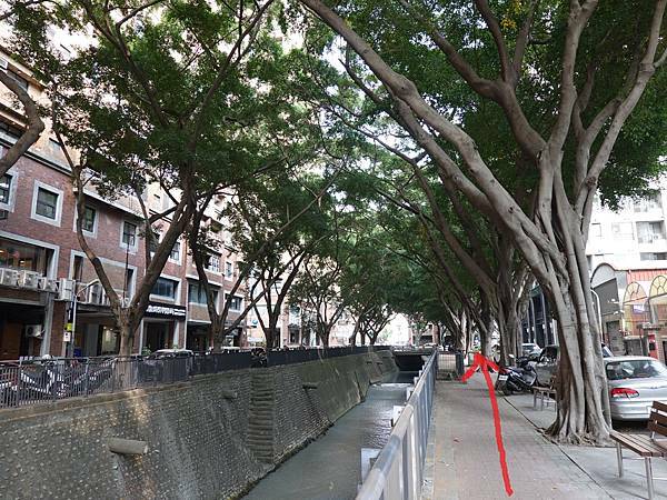 大墩停車場往菲菲花園 (2).JPG