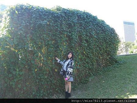 台北信義區。四四南村|台北市一日遊景點推薦、台北拍照景點推薦、擁有101美景、文青風格文創格調♥食尚期貨小咪推薦台北景點