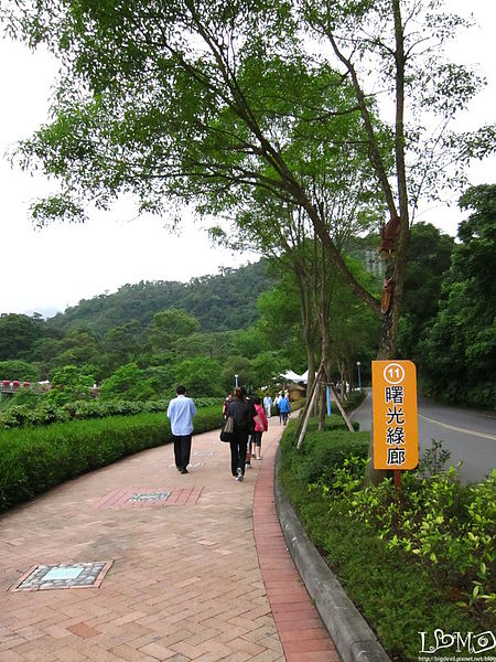 IMG_8933.JPG IMG_8933.JPG