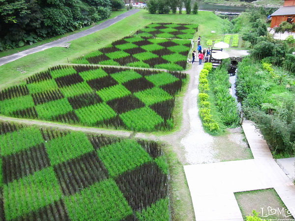 綠色博覽會17.jpg 綠色博覽會17.jpg