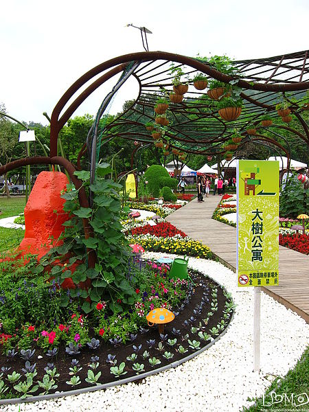 IMG_8907.JPG IMG_8907.JPG