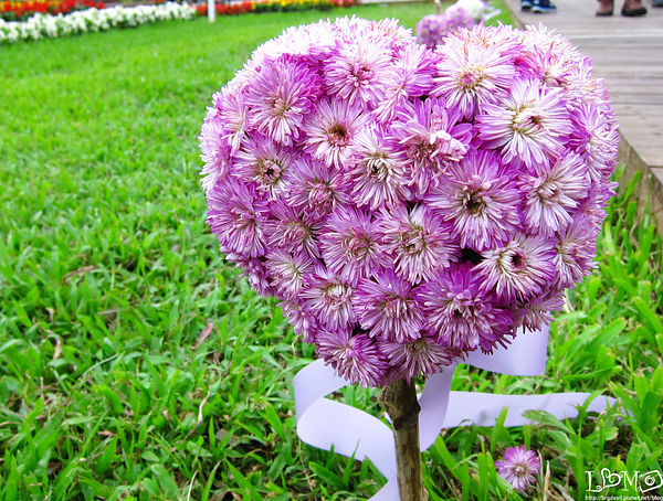 綠色博覽會12.jpg 綠色博覽會12.jpg