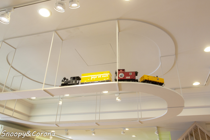 【親子餐廳】大樹先生的家/大樹露營季~與知名戶外露營品牌Coleman攜手打造城市露營區,體驗露營野炊的樂趣