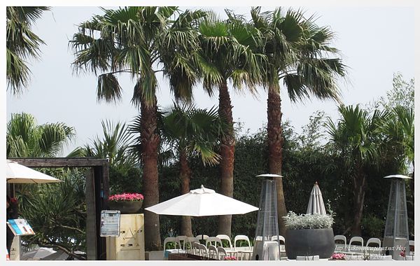 『呷』「陽明山風景區」☆ 屋頂上 ☆ 騎車上山享受景觀與美食