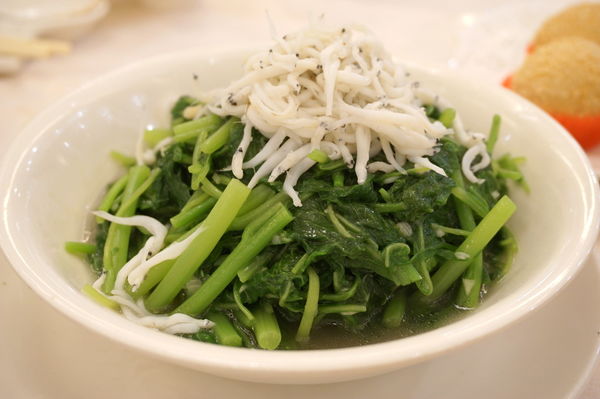 DSC08314.JPG DSC08314.JPG