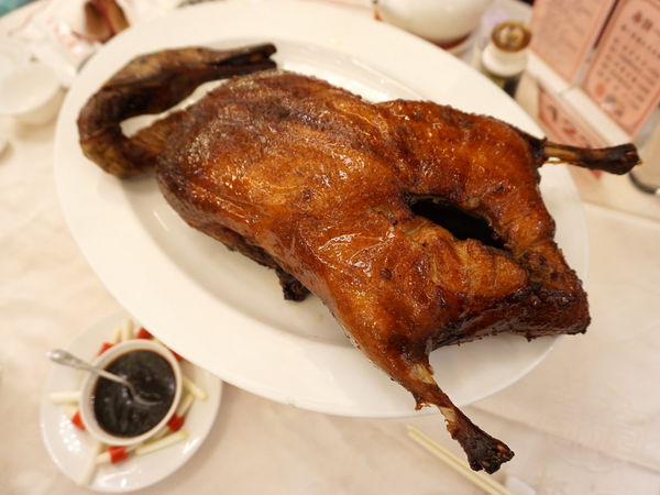 DSC08295.JPG DSC08295.JPG