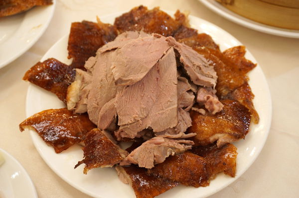 DSC08309.JPG DSC08309.JPG