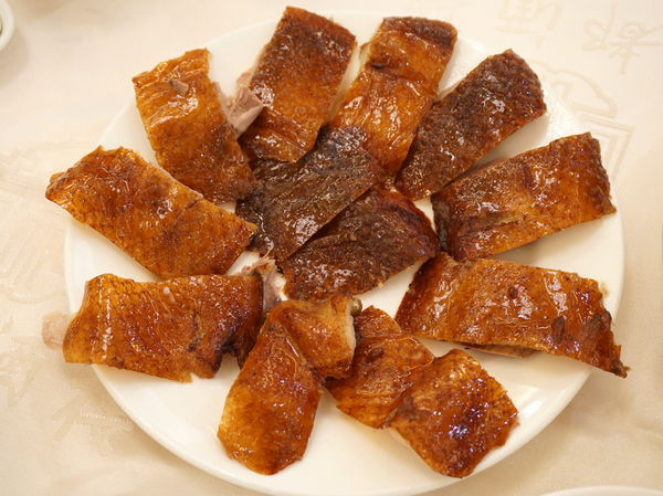 DSC08305.JPG DSC08305.JPG