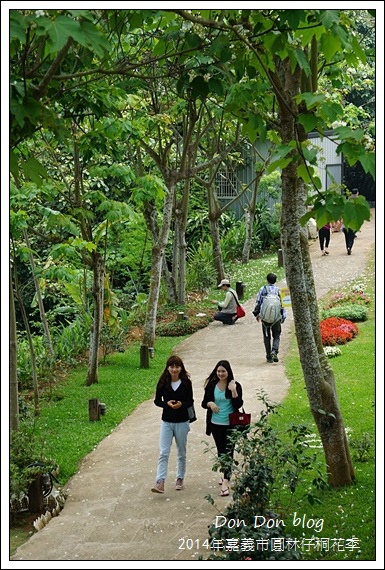 2014年嘉義圓林仔社區賞油桐花
