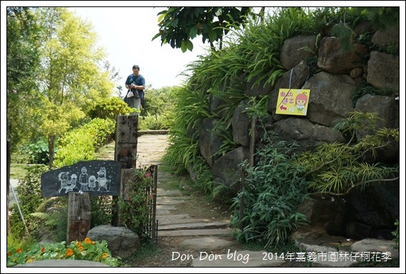 2014年嘉義圓林仔社區賞油桐花