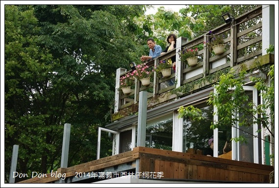 2014年嘉義圓林仔社區賞油桐花