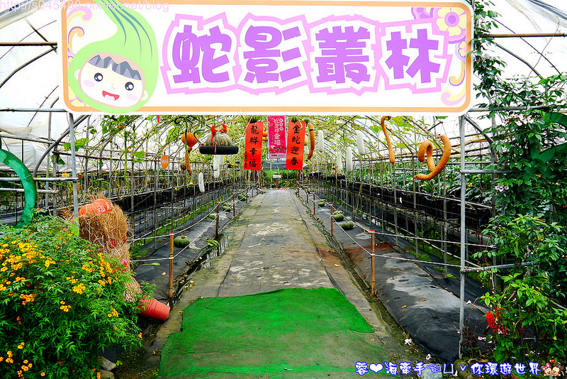 【宜蘭▍親子旅遊】旺山休閒農場♥帶著孩子一起來勇闖南瓜隧道,體驗DIY南瓜彩繪