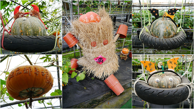 【宜蘭▍親子旅遊】旺山休閒農場♥帶著孩子一起來勇闖南瓜隧道,體驗DIY南瓜彩繪