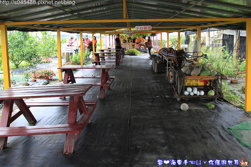【宜蘭▍親子旅遊】旺山休閒農場♥帶著孩子一起來勇闖南瓜隧道,體驗DIY南瓜彩繪