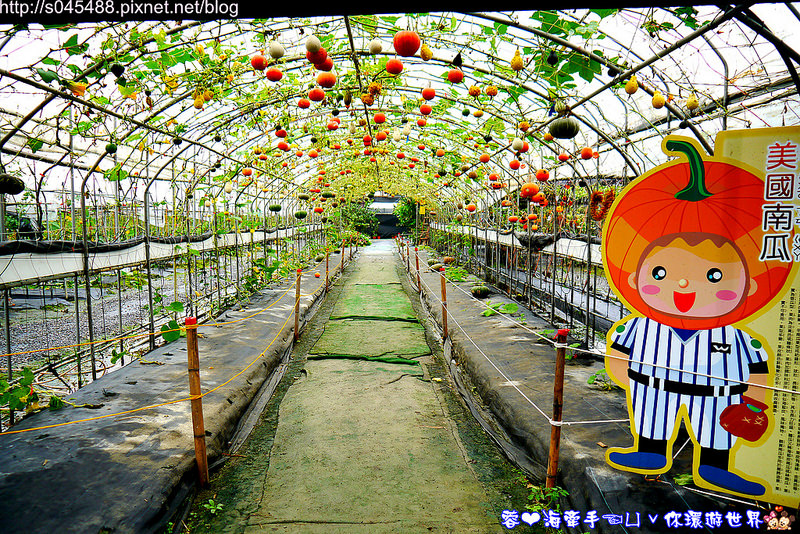 【宜蘭▍親子旅遊】旺山休閒農場♥帶著孩子一起來勇闖南瓜隧道,體驗DIY南瓜彩繪