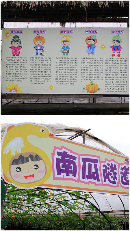 【宜蘭▍親子旅遊】旺山休閒農場♥帶著孩子一起來勇闖南瓜隧道,體驗DIY南瓜彩繪