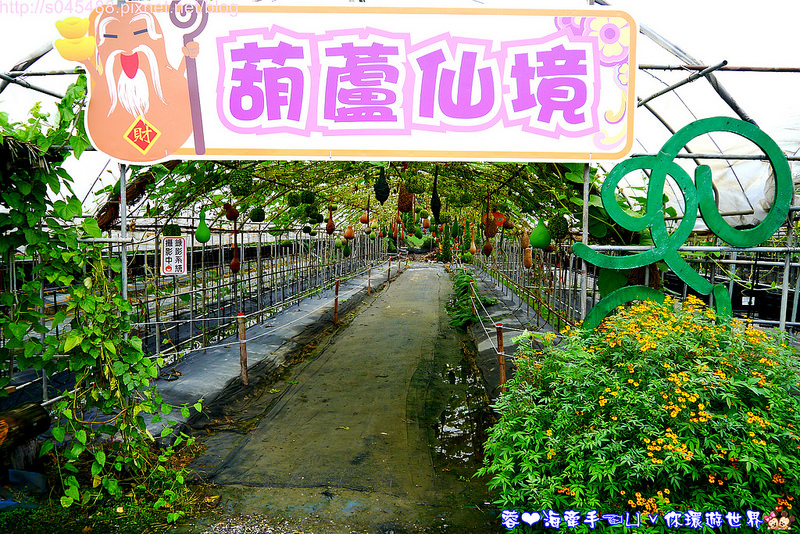 【宜蘭▍親子旅遊】旺山休閒農場♥帶著孩子一起來勇闖南瓜隧道,體驗DIY南瓜彩繪