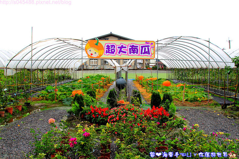 【宜蘭▍親子旅遊】旺山休閒農場♥帶著孩子一起來勇闖南瓜隧道,體驗DIY南瓜彩繪