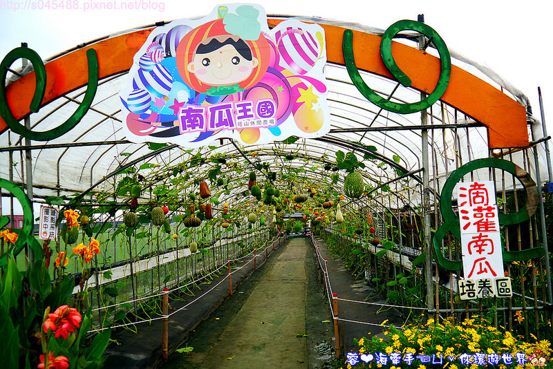 【宜蘭▍親子旅遊】旺山休閒農場♥帶著孩子一起來勇闖南瓜隧道,體驗DIY南瓜彩繪