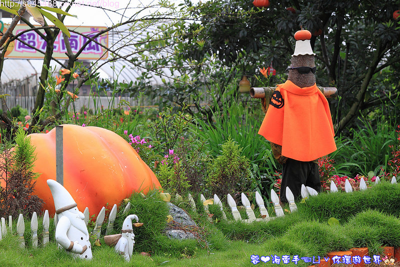 【宜蘭▍親子旅遊】旺山休閒農場♥帶著孩子一起來勇闖南瓜隧道,體驗DIY南瓜彩繪
