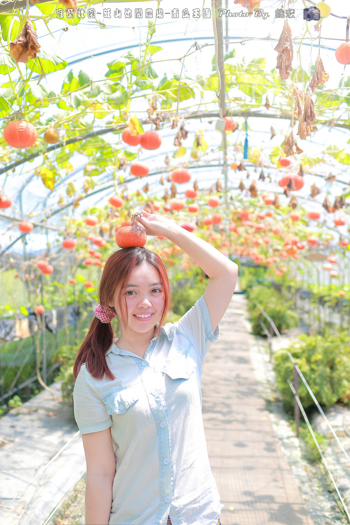 宜蘭壯圍~旺山休閒農場-南瓜王國