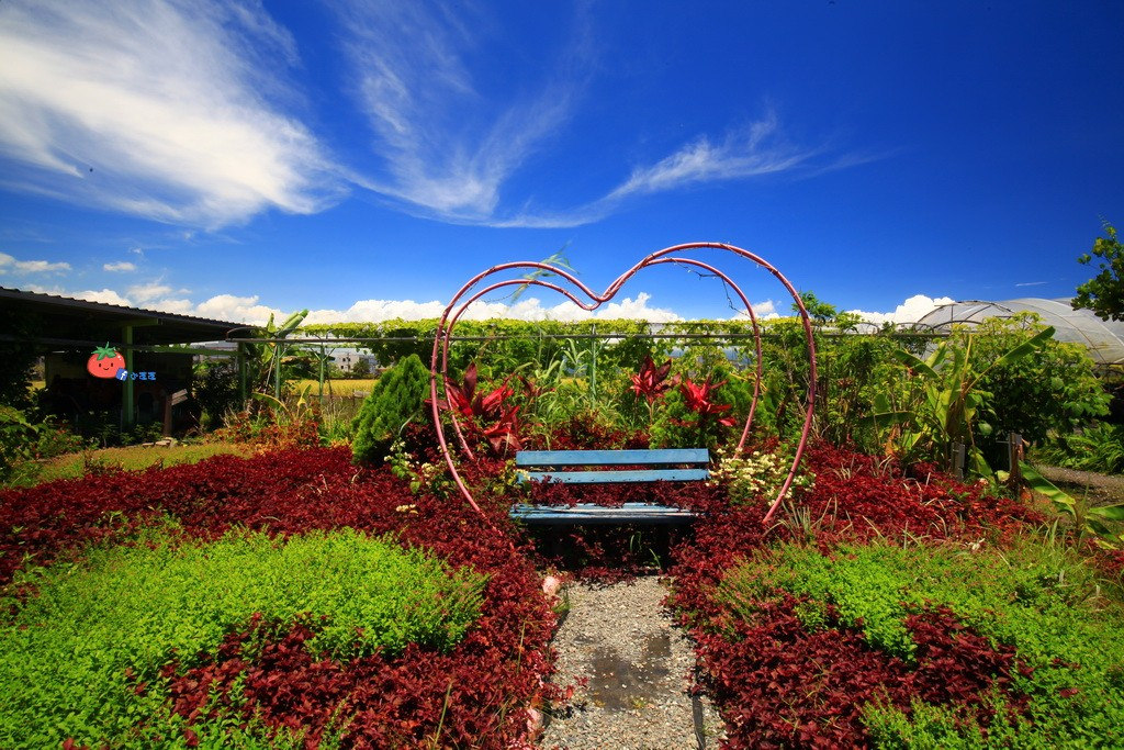 壯圍景點推薦 南瓜隧道 旺山農場