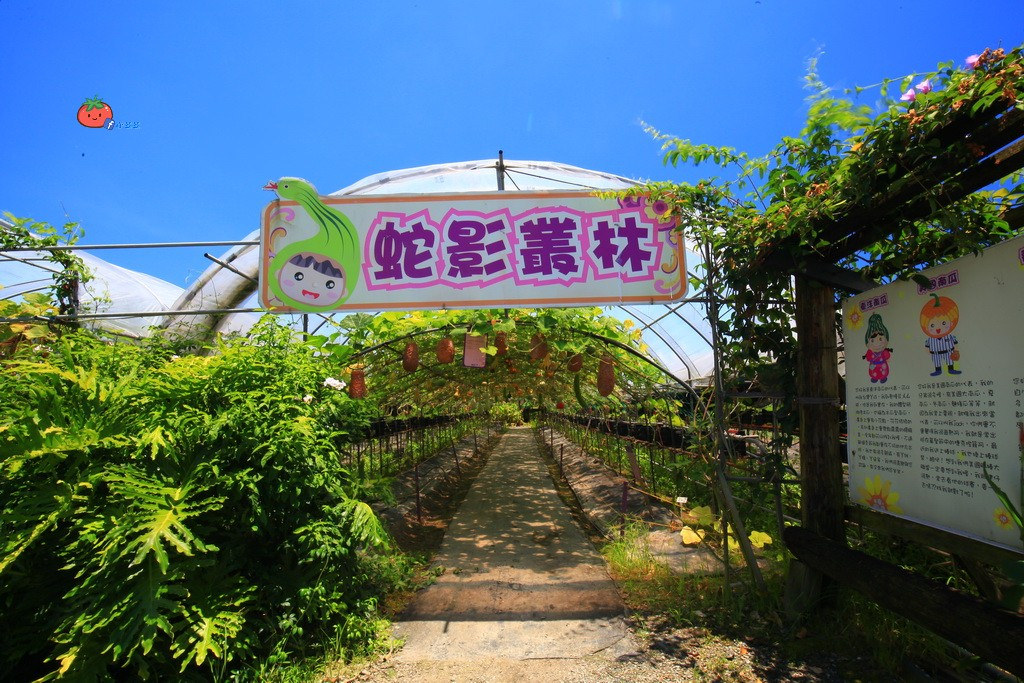 壯圍景點推薦 南瓜隧道 旺山農場