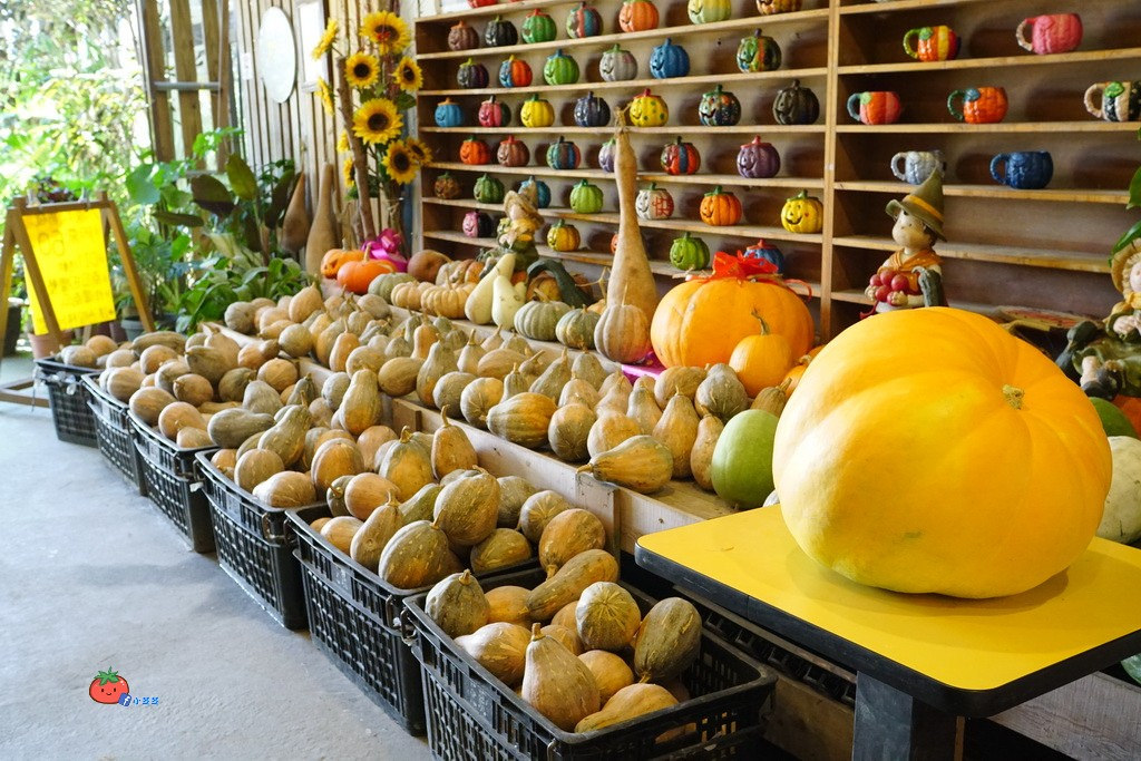 壯圍景點推薦 南瓜隧道 旺山農場