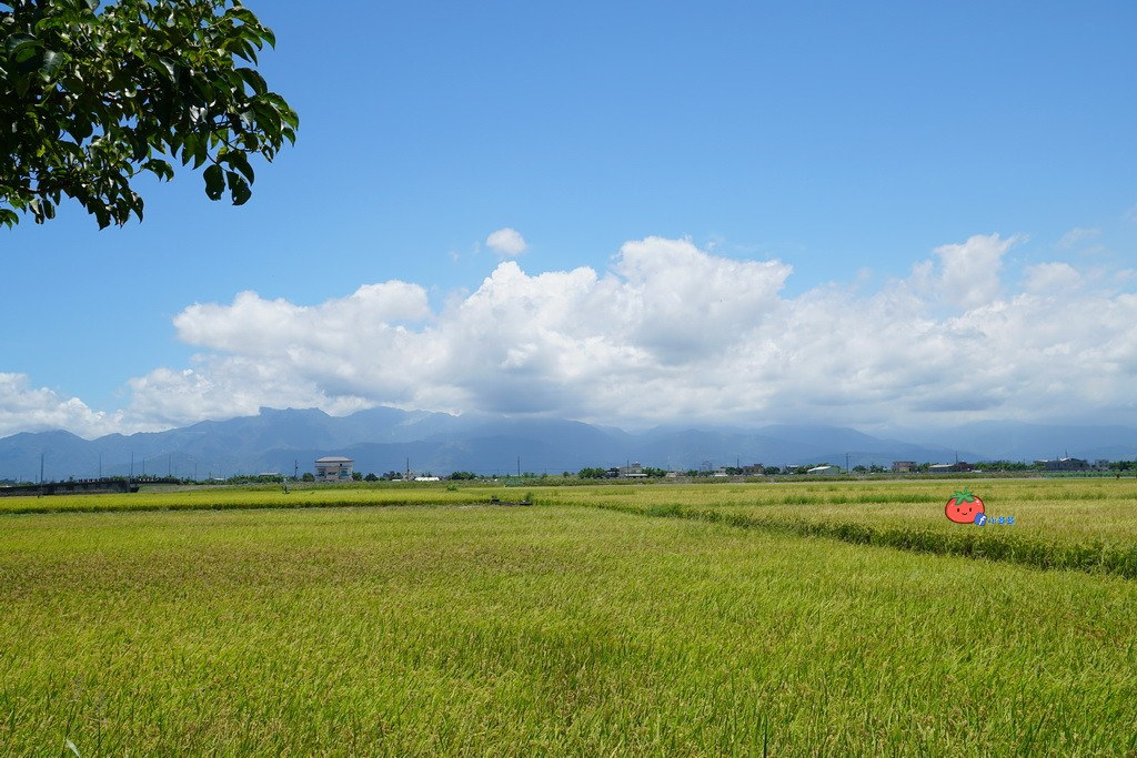 壯圍景點推薦 南瓜隧道 旺山農場