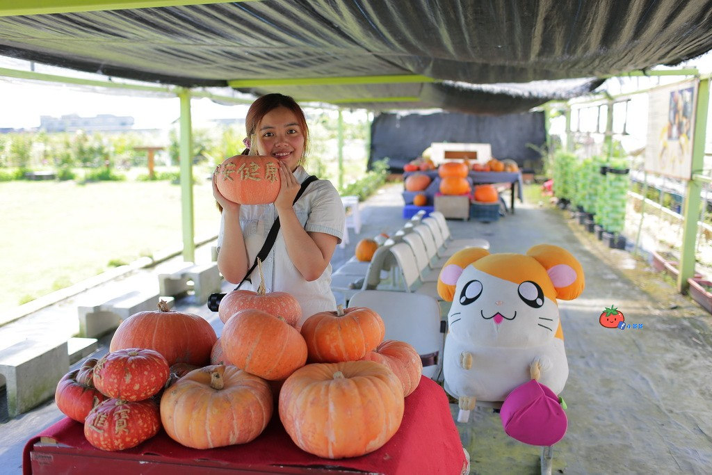 壯圍景點推薦 南瓜隧道 旺山農場