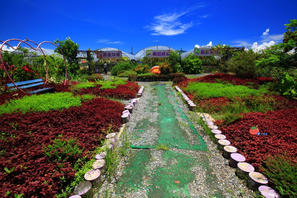 壯圍景點推薦 南瓜隧道 旺山農場