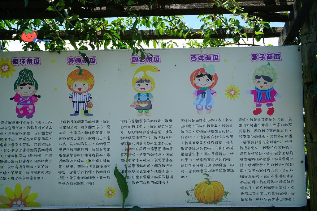 壯圍景點推薦 南瓜隧道 旺山農場