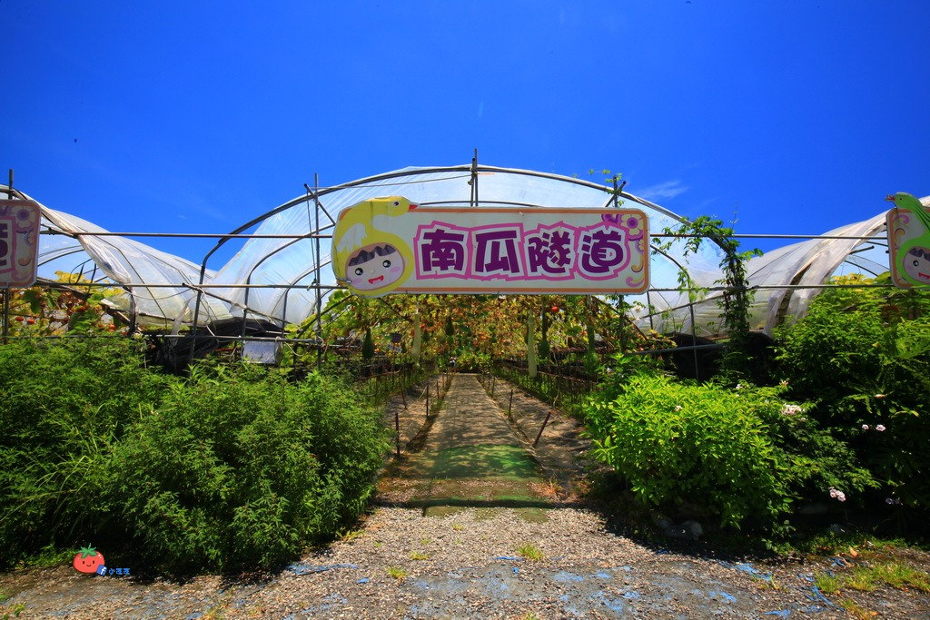 壯圍景點推薦 南瓜隧道 旺山農場