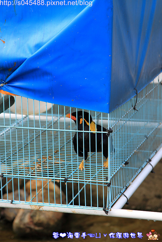 【宜蘭▍民宿】閒雲居♥坐擁冬山湖畔美景~不規則的俐落時尚外型，讓人留下深刻印象