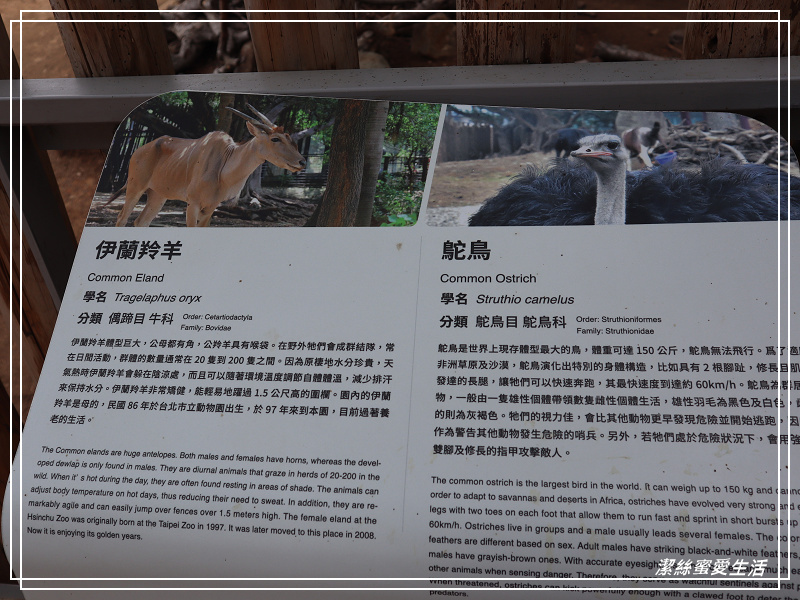 新竹市立動物園-小而美!打造無鐵籠棲地空間 - 潔絲蜜愛生活