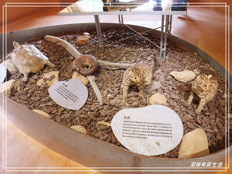 新竹市立動物園-小而美!打造無鐵籠棲地空間 - 潔絲蜜愛生活