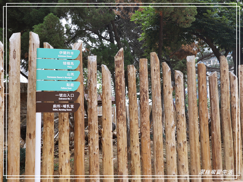 新竹市立動物園-小而美!打造無鐵籠棲地空間 - 潔絲蜜愛生活