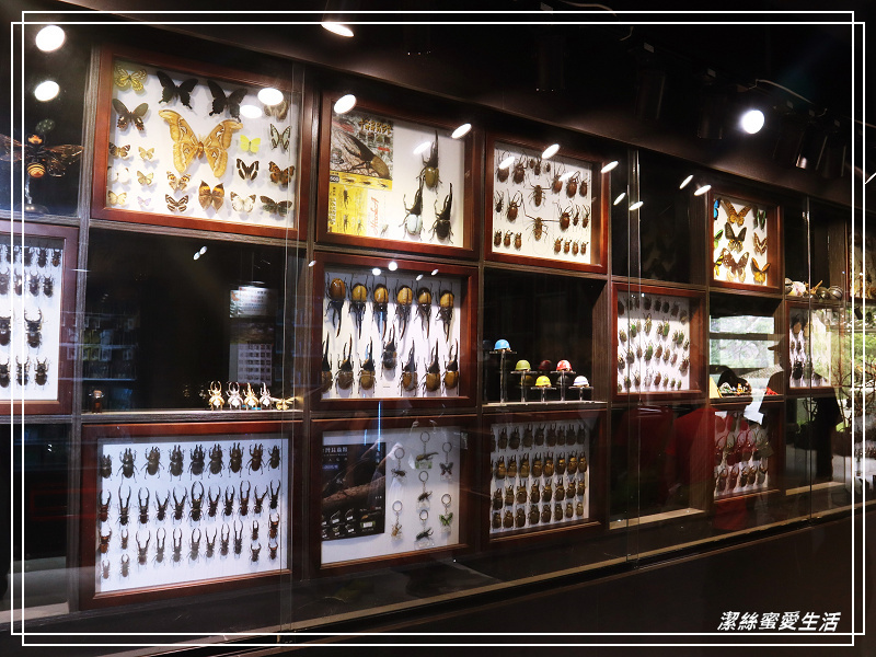 新竹市立動物園-小而美!打造無鐵籠棲地空間 - 潔絲蜜愛生活